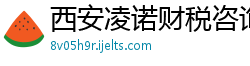 西安凌诺财税咨询服务有限公司